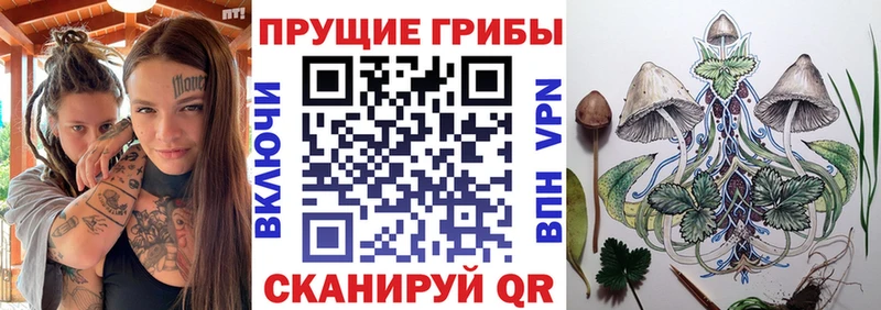 Псилоцибиновые грибы Magic Shrooms  мега ссылки  Великий Устюг 