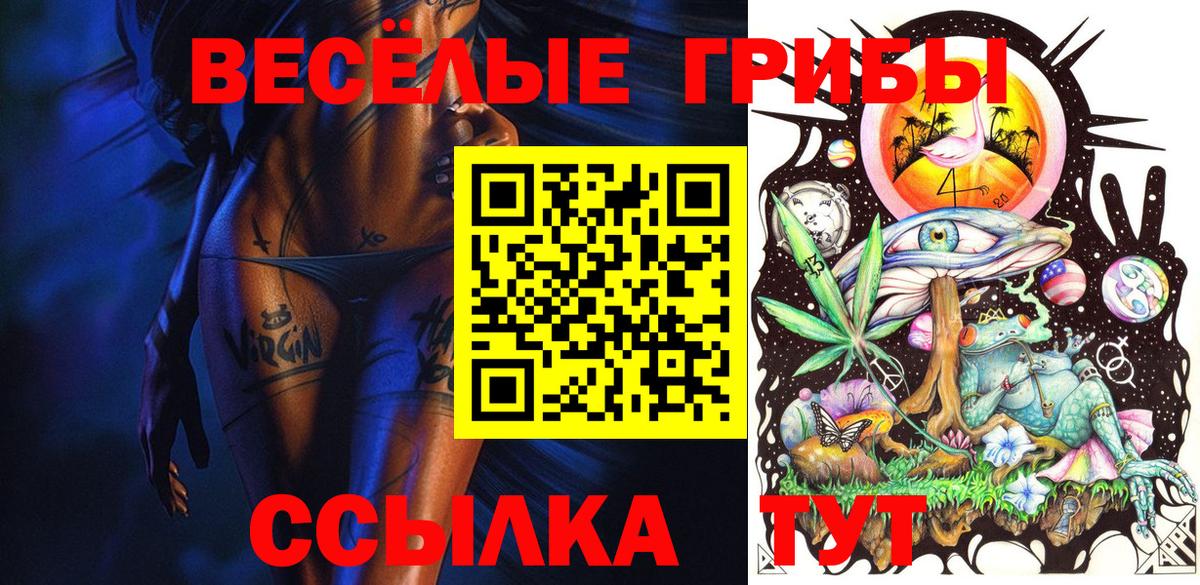 Псилоцибиновые грибы мухоморы  Великий Устюг  Псилоцибиновые грибы Psilocybe 