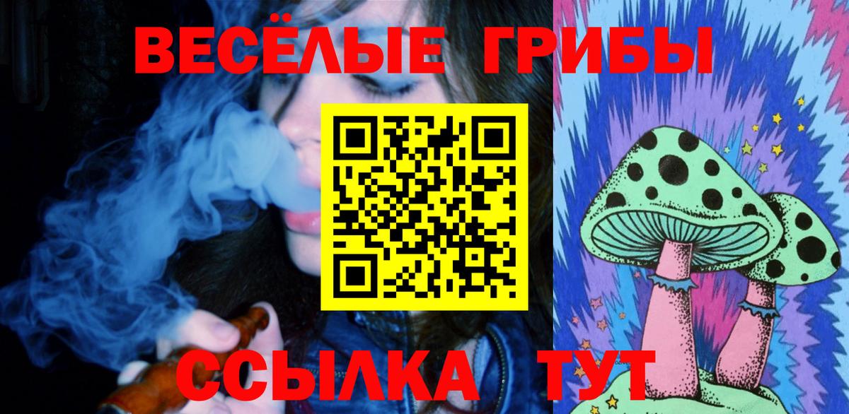 Великий Устюг  Псилоцибиновые грибы Psilocybe  Вход с VPN 